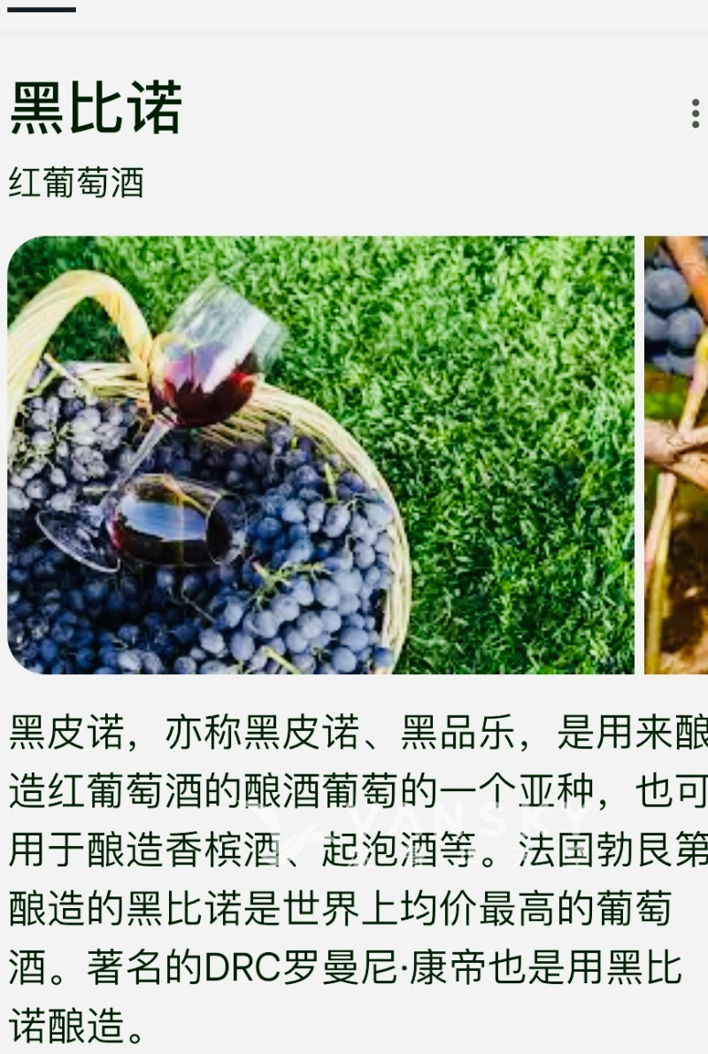 250428190559_IMG_6290 1.jpg